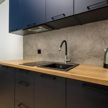 شقة Homewell Lofty Nad Warta بوزنان