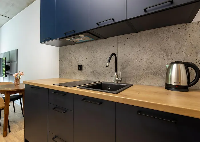 公寓 Homewell Lofty Nad Warta 波兹南