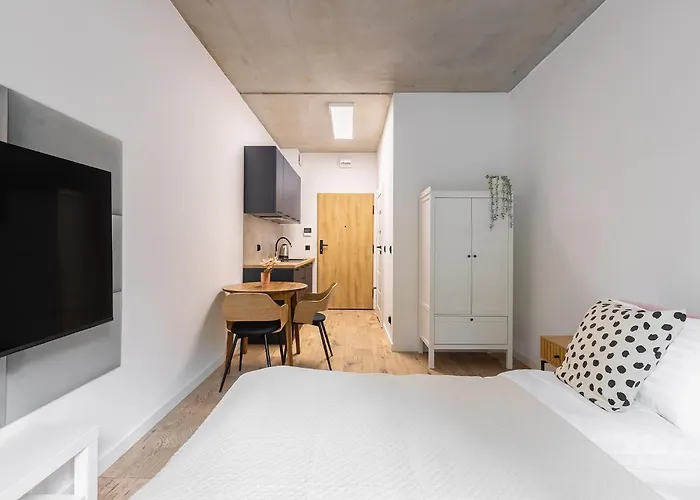 公寓 Homewell Lofty Nad Warta *