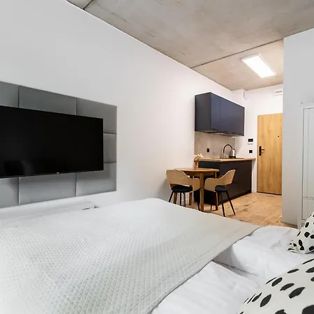 Homewell Lofty Nad Warta Апартаменты Познань