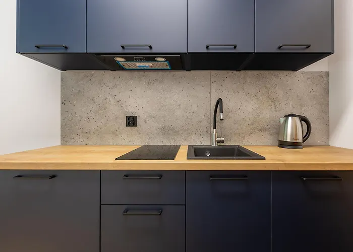 Homewell Lofty Nad Warta Апартаменты